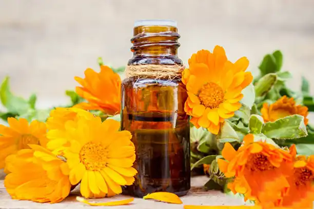 Is luteolin the same as lutein？